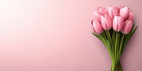 Wall Mural - Pink Tulips Bouquet on Soft Pink Background