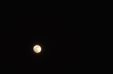 Wall Mural - yellow full moon floating on sky in night background