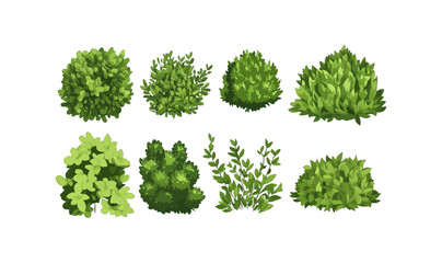 cartoon shrub bush set. garden green decoration bushes, illustrated hedge shrubs plants isolated on 