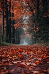 Wall Mural - A serene forest pathway carpeted with vivid red-orange leaves under a canopy of autumn trees.