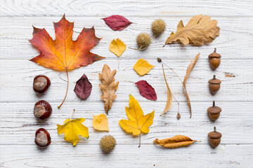 Wall Mural - autumn composition. pattern made of dried leaves and other design accessories on table. flat lay, to