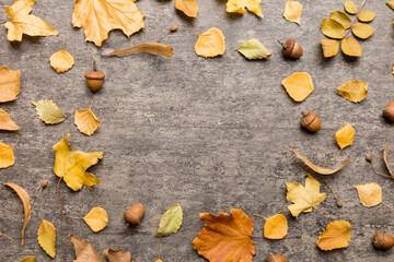 Wall Mural - autumn composition made of dried leaves, cones and acorns on table. flat lay, top view