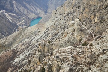 A rocky cliff with a small plant growing on it. The view is of a mountain range. Concept of ruggedness and natural beauty