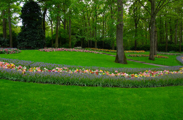 Wall Mural - garden with blooming spring flowers