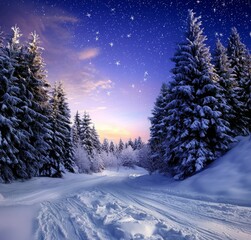 Poster - Happy New Year greeting card with copy space with an evening landscape of snow covered trees. Christmas background.
