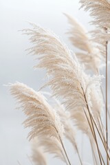 Poster - In this winter landscape, grasses are covered in frost, selective focus, and shallow depth of field are used