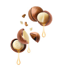 Poster - Macadamia nuts and oil in air on white background