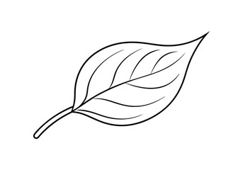 Continuous Line Art of a Leaf – Minimalist Nature Vector Illustration