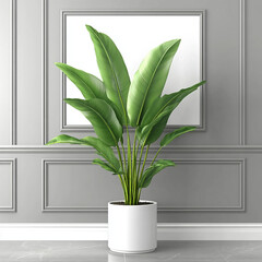 large green plant with broad leaves in modern white pot stands against stylish gray wall with elegant paneling. This minimalistic design adds refreshing touch to any space