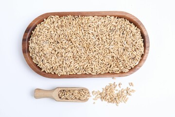 Wall Mural - Oat grains and scoop isolated on white, top view