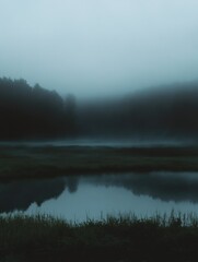 Wall Mural - serene misty forest