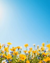 Wall Mural - Vibrant Wildflower Field Under Clear Blue Sky – Perfect for Text Overlay and Nature Themes