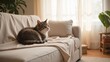 © tatchaihot - Cozy Cat Relaxing in a Modern Living Space