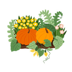 Wall Mural - vector pumpkin patch with yellow and pink flowers, leaves, autumn composition. holiday greeting card