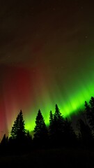 Wall Mural - bright red and green christmas colored aurora in a starry night sky. panning right