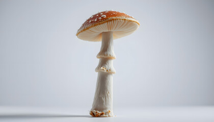 psilocybin mushroom psilocybe cubensis isolated with white highlights, png