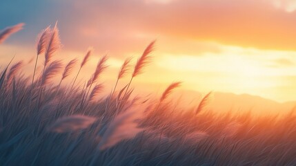 Wall Mural - A meadow at dusk with long grass swaying in the breeze and the sky glowing in shades of pink and orange