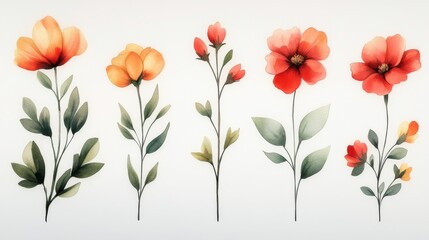 Sticker - Watercolor Floral Illustration