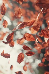 Canvas Print -   A majestic tree surrounded by towering trees, adorned with countless leaves soaring through the sky