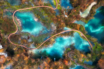 Wall Mural - aerial view of blue lakes in red autumn forest at sunrise