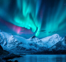 aurora borealis over the snowy mountains, frozen sea, reflection in water at winter night in lofoten