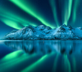 Wall Mural - northern lights over the snowy mountains, sea coast, reflection in water at night in lofoten, norway