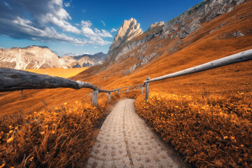 Wall Mural - path in seceda mountain on beautiful autumn sunny day in dolomites, italy. colorful landscape with m