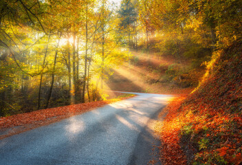 Wall Mural - road in orange forest in fog and sunbeams at sunrise in golden autumn. dolomites, italy. beautiful m