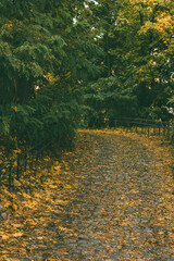 A winding, leaf-covered stone path surrounded by lush green trees on an autumn day, with yellow leaves scattered across the wet ground, and a black metal railing on the two side.
