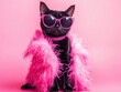 © Elena - Black Cat in Pink Feathers and Sunglasses
