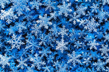 Close up photography of blue and white ice snowflake patterns for winter holiday decor