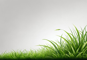 green grass on a white background