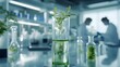 © irawan - A Single Plant Sprouting in a Glass Beaker in a Laboratory Setting