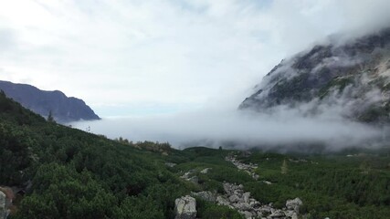 Wall Mural - Mountain landscape, morning clouds hover over the mountains