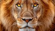 © PeopleWorker - A stunning close-up of a lion with striking yellow eyes