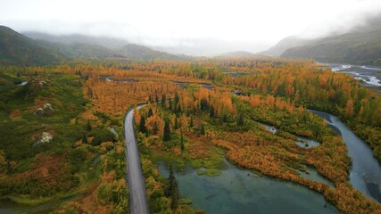 Wall Mural - aerial view of scenic autumn landscape with colorful fall foliage in alaska.