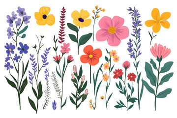 Wall Mural - A set of fun flower and nature design elements. Flat hand drawn vector collection