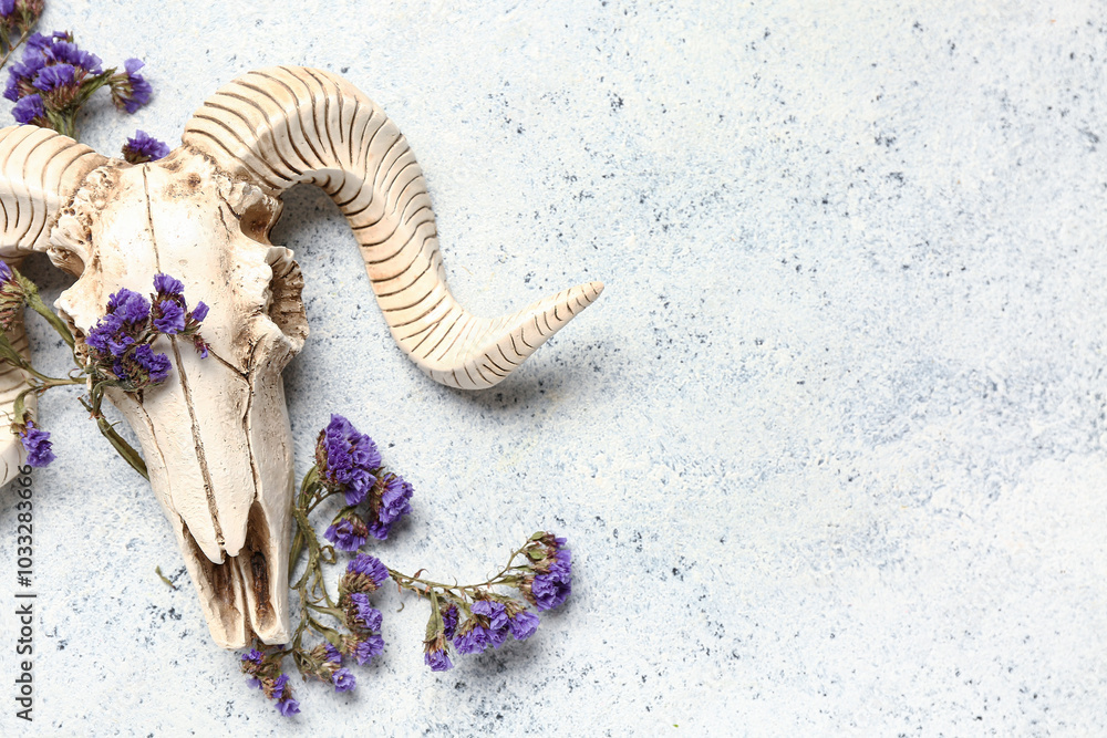 Skull of sheep with beautiful flowers on white background