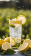 © FelineFun - Refreshing drinks of lemonade cocktail with lime and ice and water with lemon