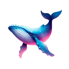 humpback whale isolated on white background