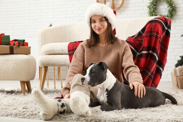 Wall Mural - Beautiful young woman in Santa hat with cute Staffordshire Terrier puppy at home on Christmas eve