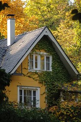 Wall Mural - Investigate the importance of proper insulation in sustainable homes. Discuss how insulation can reduce energy costs and improve