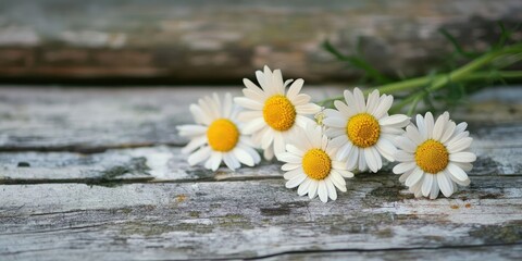 Aufkleber - A bunch of daisies on a wooden surface.