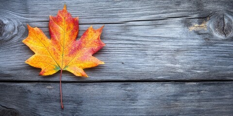 Poster - Autumn's colorful maple leaf on a wooden background