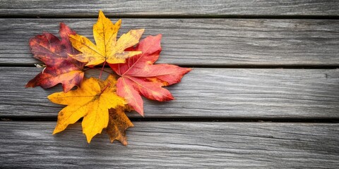 Leinwandbilder - bunch of autumn leaves on a wooden surface.