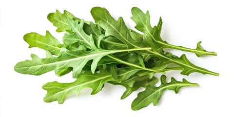 Aufkleber - Arugula leaves isolated on a white background. Focused selectively. Food.