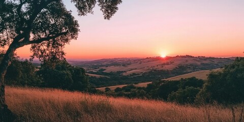 Poster - The clear sky transformed into a stunning gradient of oranges and pinks at sunset.