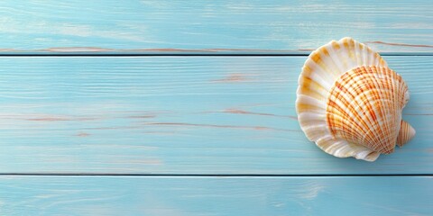 Poster - Top view of a sea shell on light blue wooden texture for a summer vacation background.