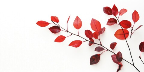 Aufkleber - red autumn leaves against a white background