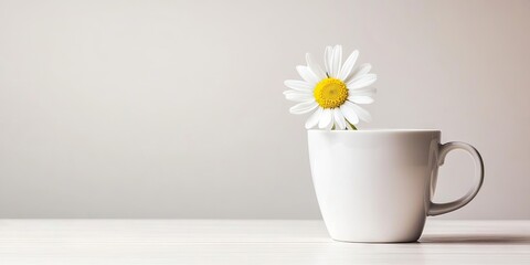 Aufkleber - Close-up high key cup and daisy with copyspace on the right.